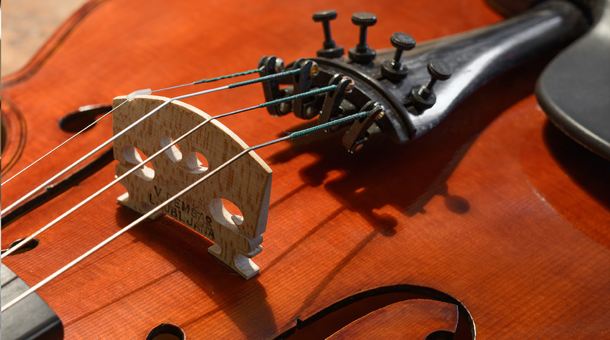 Violina Demšar - model 'G'