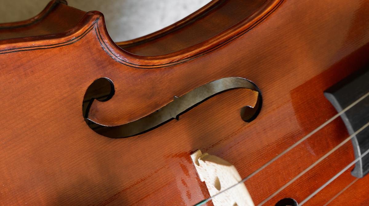 Violina Andrea Amati