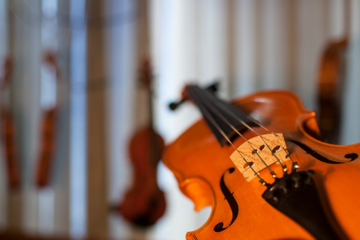 Goslarstvo Demsar 18