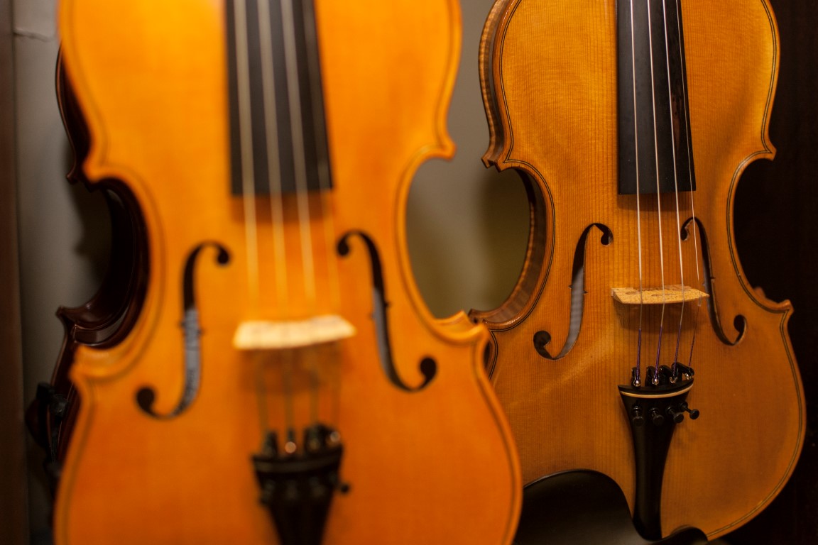 Goslarstvo Demsar 50